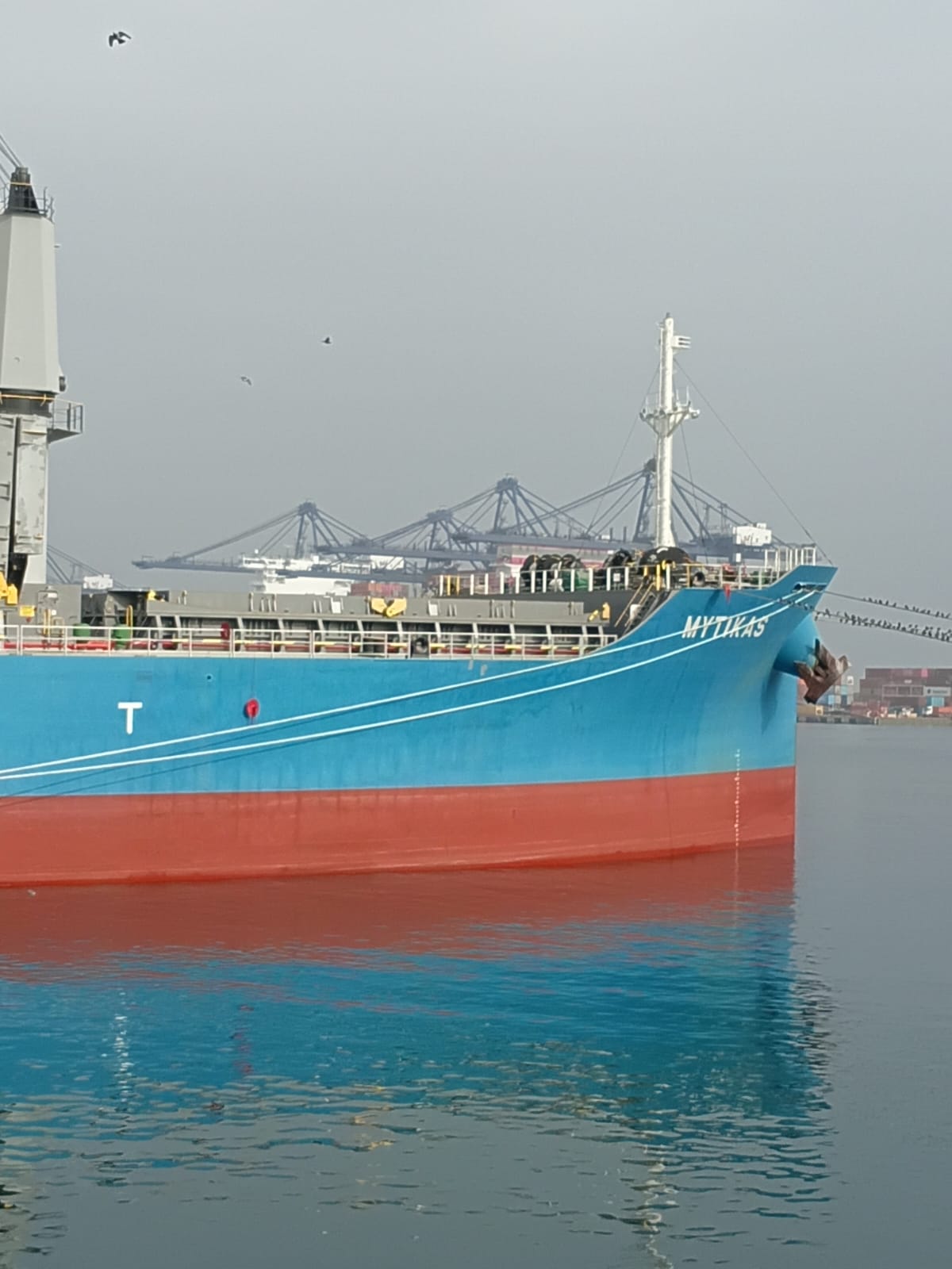 M/V Mytikas at Chilean port